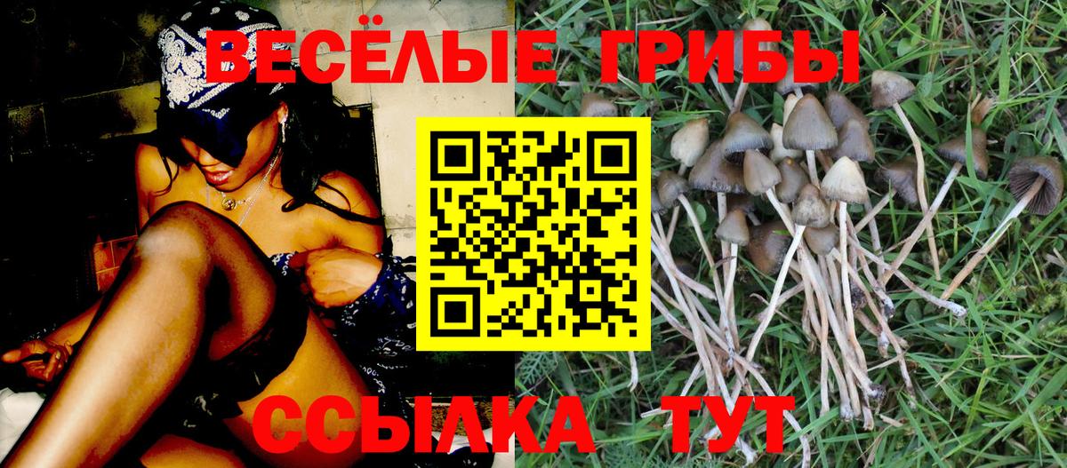 Глазов  Псилоцибиновые грибы Magic Shrooms  Вход с VPN 