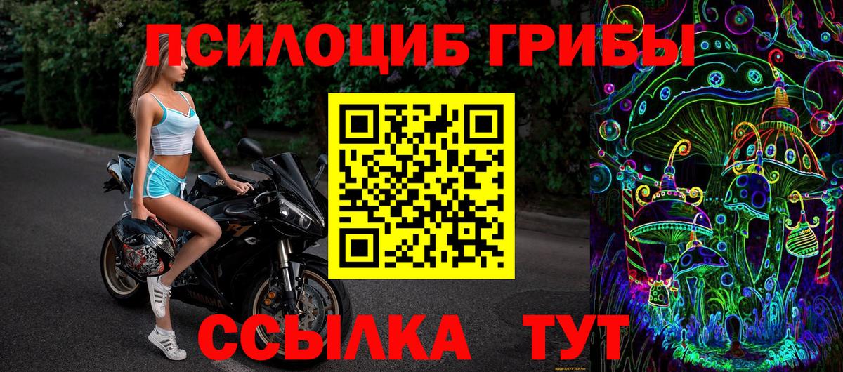 Псилоцибиновые грибы Cubensis Глазов